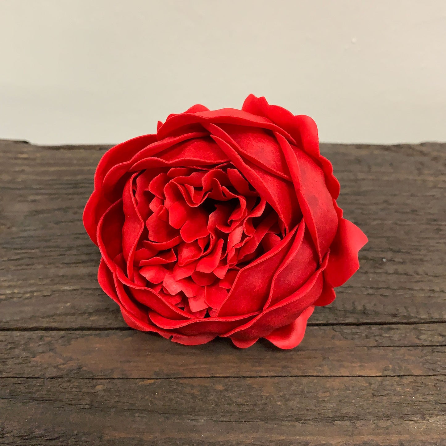 PIVOINE DE SAVON ROUGE