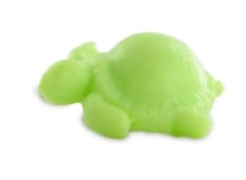 Tortue 🐢 thé vert 🍵