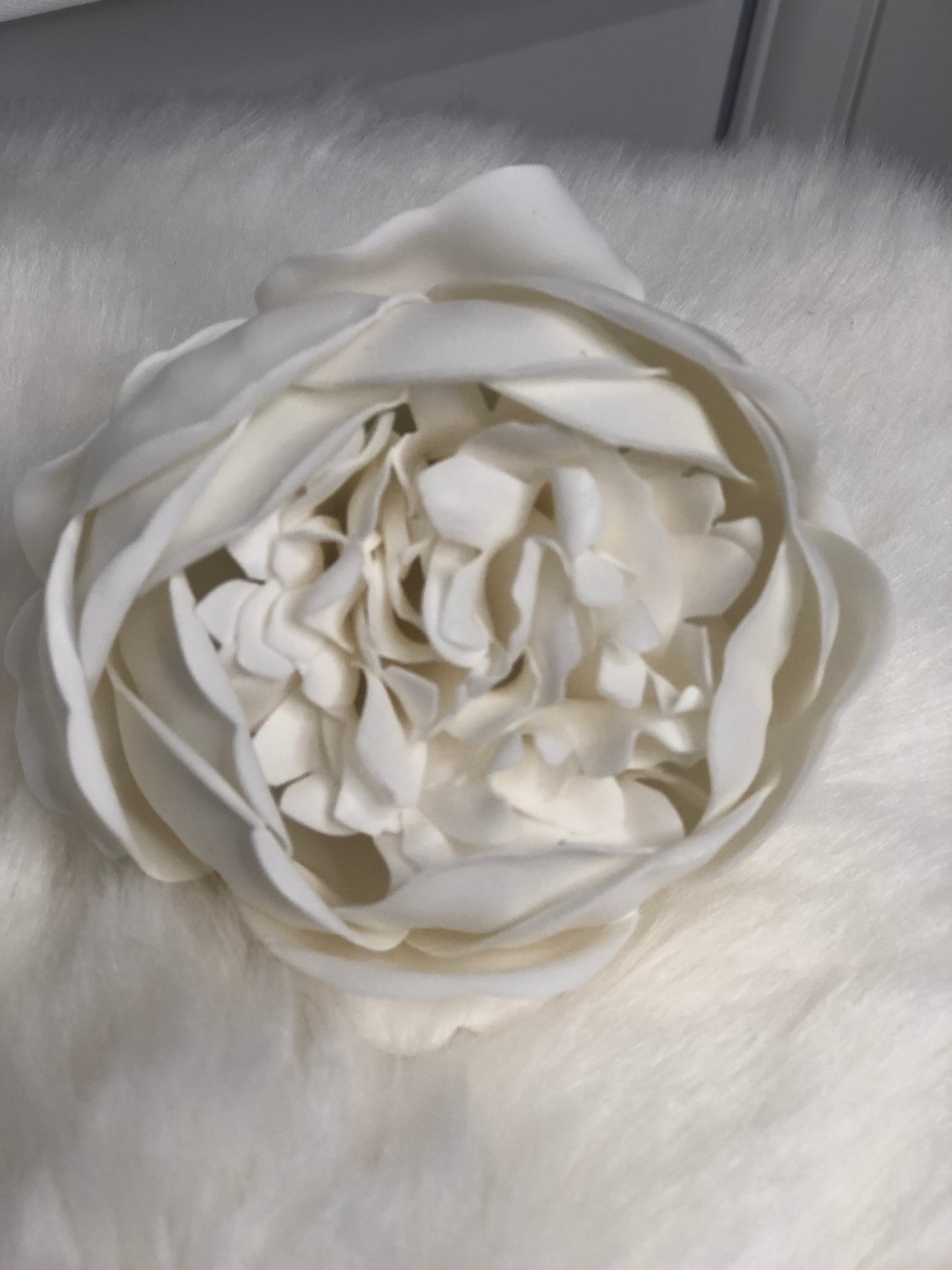 PIVOINE DE SAVON BLANCHE