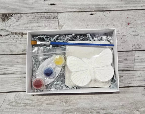 KIT PAPILLON A PEINDRE