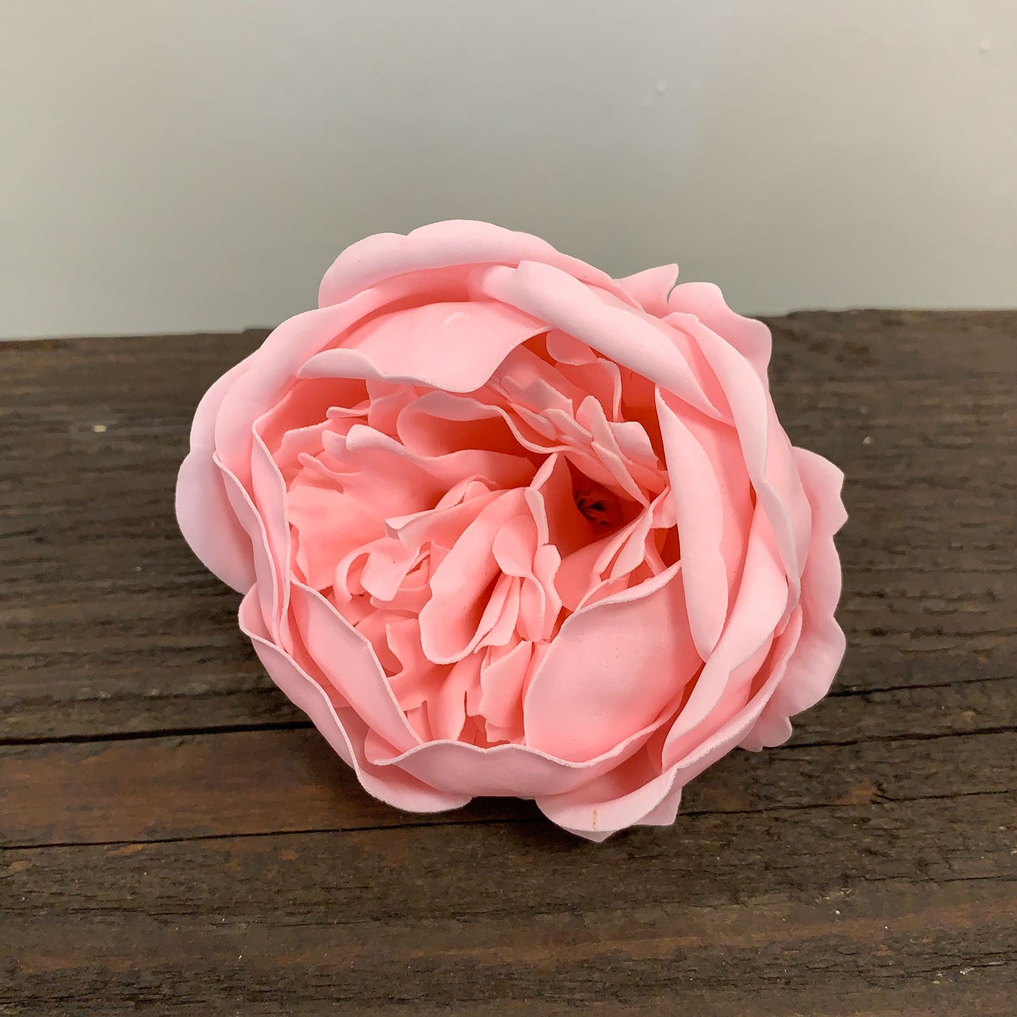 PIVOINE DE SAVON ROSE POUDREE