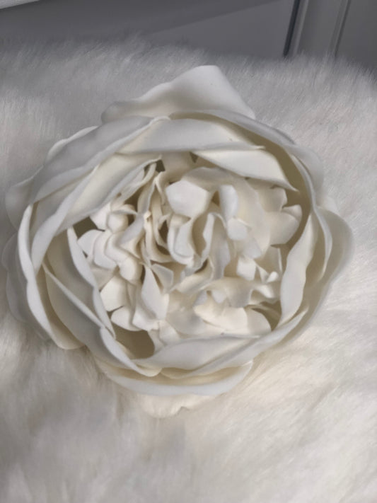 PIVOINE DE SAVON BLANCHE